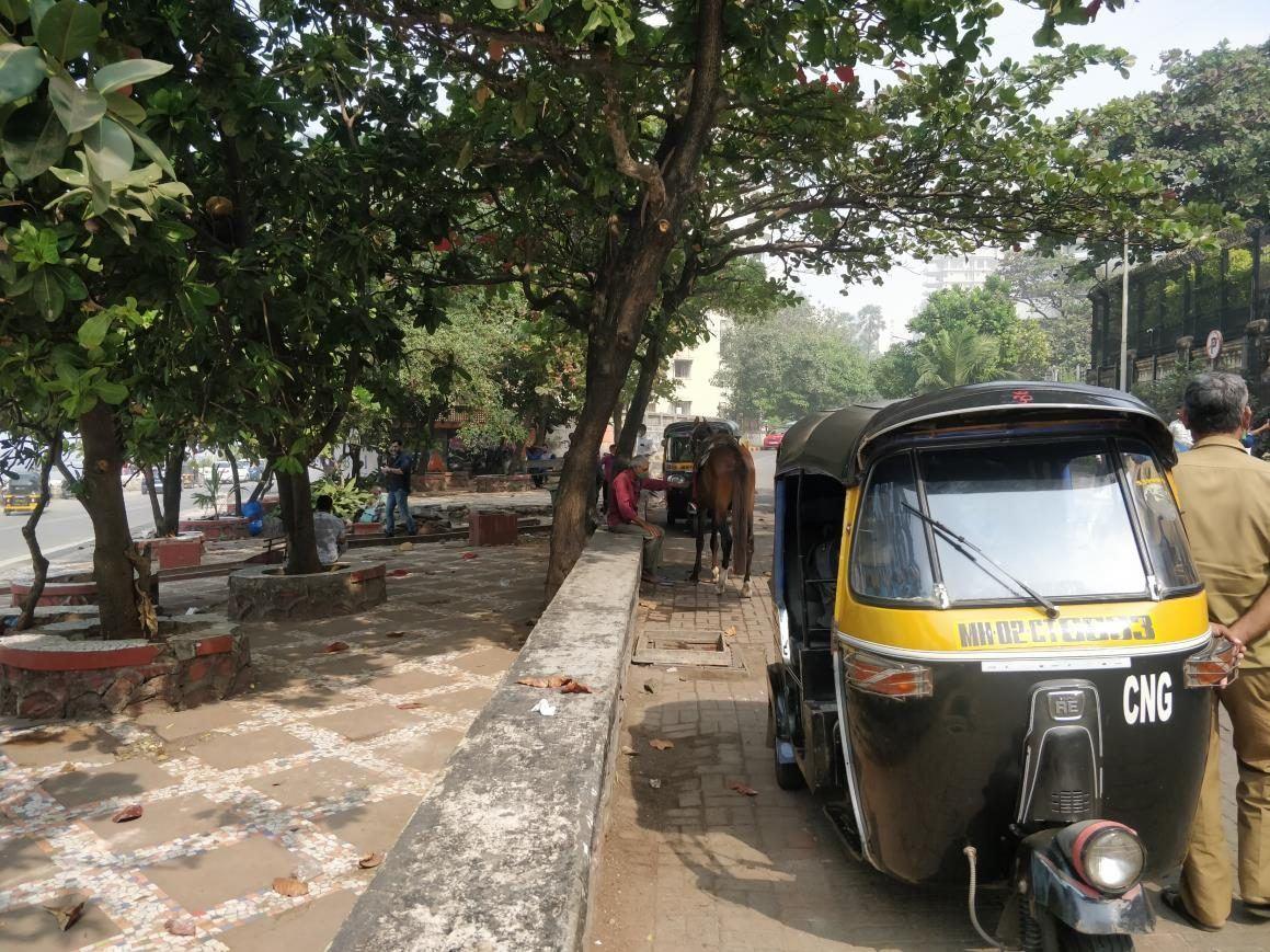 GM Park (Nathani Garden)