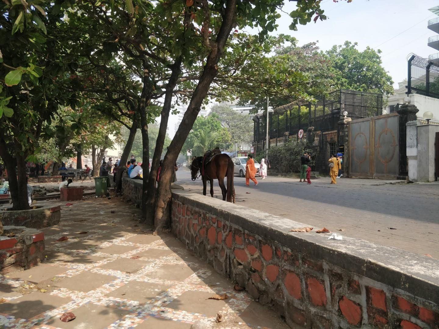 GM Park (Nathani Garden)